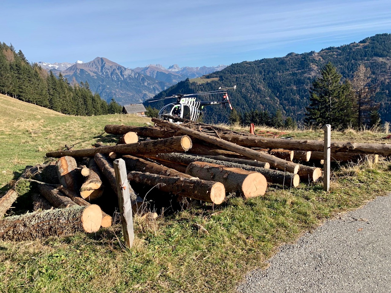 Logging