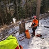 Roger bereitet sich auf das "stehend" Logging vor. Er muss zirka 30 Meter den Baum hochklettern...