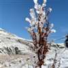 Bivio - erster Schneefall des Jahres 2021