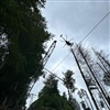 Arbeitsflüge mit der Heli Tamina - günstig, zuverlässig und professionell