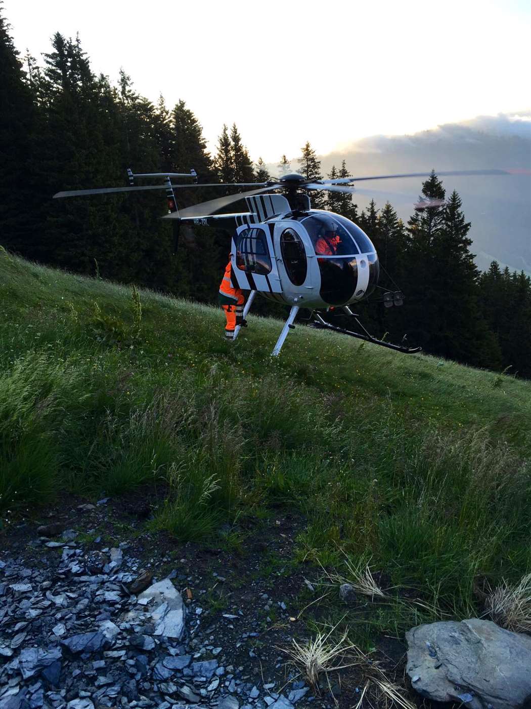 Alpversorgung Frühling 17