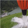 Bambi Bucket