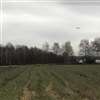 Aerial Work